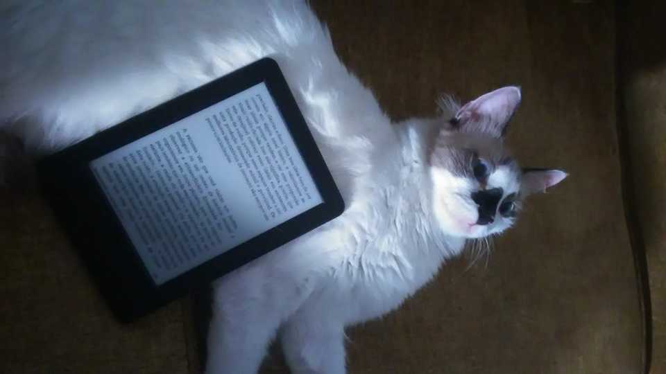 pipoca_kindle